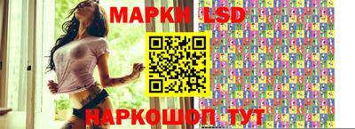 гашик Будённовск