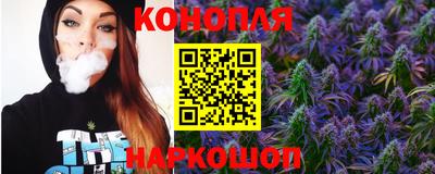 гашик Будённовск