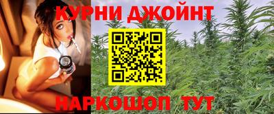 гашик Будённовск