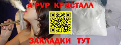 гашик Будённовск