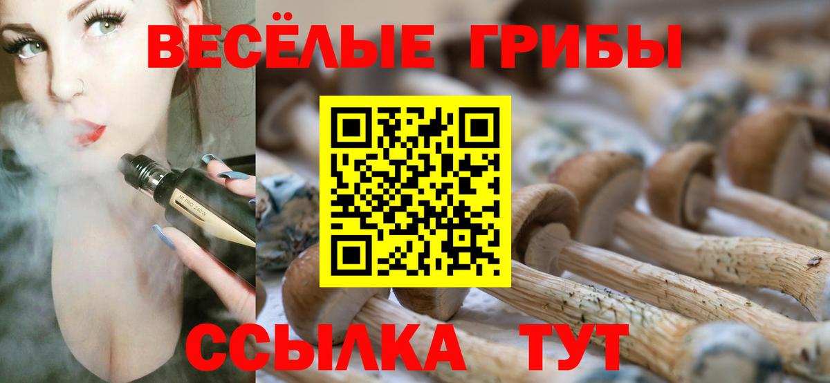 Галлюциногенные грибы Magic Shrooms  Вход с VPN  цены наркотик  Псилоцибиновые грибы ЛСД  Находка 